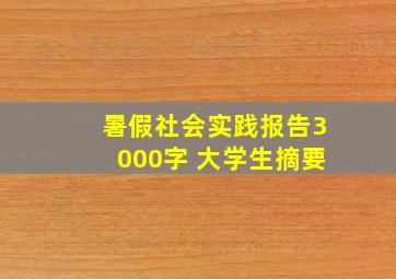 暑假社会实践报告3000字 大学生摘要